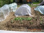 DSCN4923.JPG