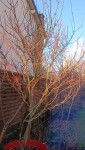 Compress_20250314_175316_6937.jpg