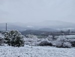 20250315_070303.jpg
