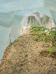 DSCN4924.JPG