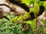 acer-teg_250321a.jpg