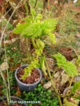 acer-teg_250321b.jpg