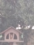 20250308_073226.jpg
