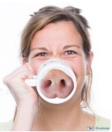 Cochon.jpg