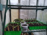 Compress_20250329_114040_0596.jpg