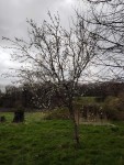Compress_20250329_114036_6653.jpg