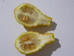 citron poire pulpe.jpg