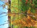 20250406_180626.jpg