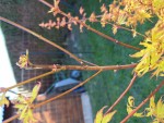 20250406_180648.jpg
