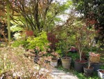 jardin_250406a.jpg