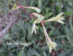 DSC07546.JPG