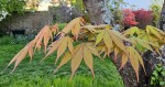 Compress_20250408_100428_8769.jpg