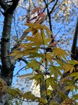 Compress_20250408_100429_9679.jpg