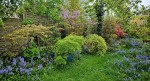 Compress_20250415_101129_9264.jpg