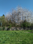 IMG_20250408_142504.png