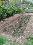 IMG_20250415_093227.png