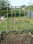 P1020738.JPG (121.68 Kio) Consulté 7661 fois les pois à rames et les rames.<br />Remarquez au fond le compost et la pompe à main fonctionnelle à partir de l'eau du puit.