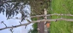 20250426_204709.jpg