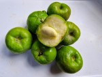 sapote recolte fin avril.jpg