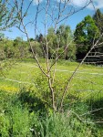 Compress_20250429_165415_5181.jpg
