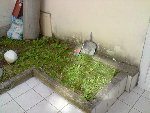 P230409_16.44.JPG