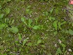 P230409_16.45[01].JPG