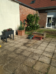 IMG_20250501_094947.png
