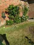 IMG_20250501_095008.png