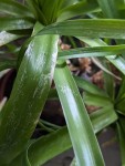 PXL_20250427_133403449.jpg