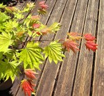 Compress_20250505_195050_0323.jpg