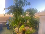 IMG_5665.jpeg