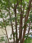 IMG_5159.jpeg