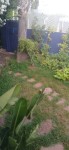 20250525_185747.jpg