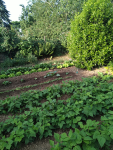 IMG_20250531_075811.png