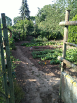 IMG_20250531_083656.png