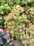 IMG_20250603_171549.jpg