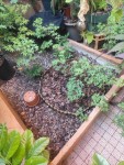 IMG_20250603_175759.jpg