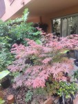 IMG_20250603_175808.jpg