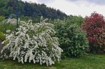 20250508_070811.jpg