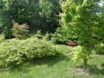 DSC07696.JPG