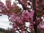 DSC07641.JPG
