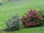 DSC07703.JPG