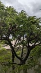PXL_20250607_145303337.jpg
