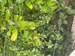 IMG_0905-compressed.jpeg