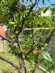 IMG_2170.jpeg