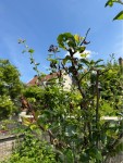 IMG_2169.jpeg