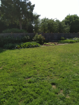 IMG_20250616_105325.png