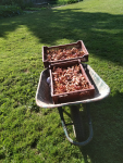 IMG_20250618_091536.png