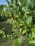 IMG_6718.jpeg
