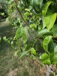 IMG_6719.jpeg
